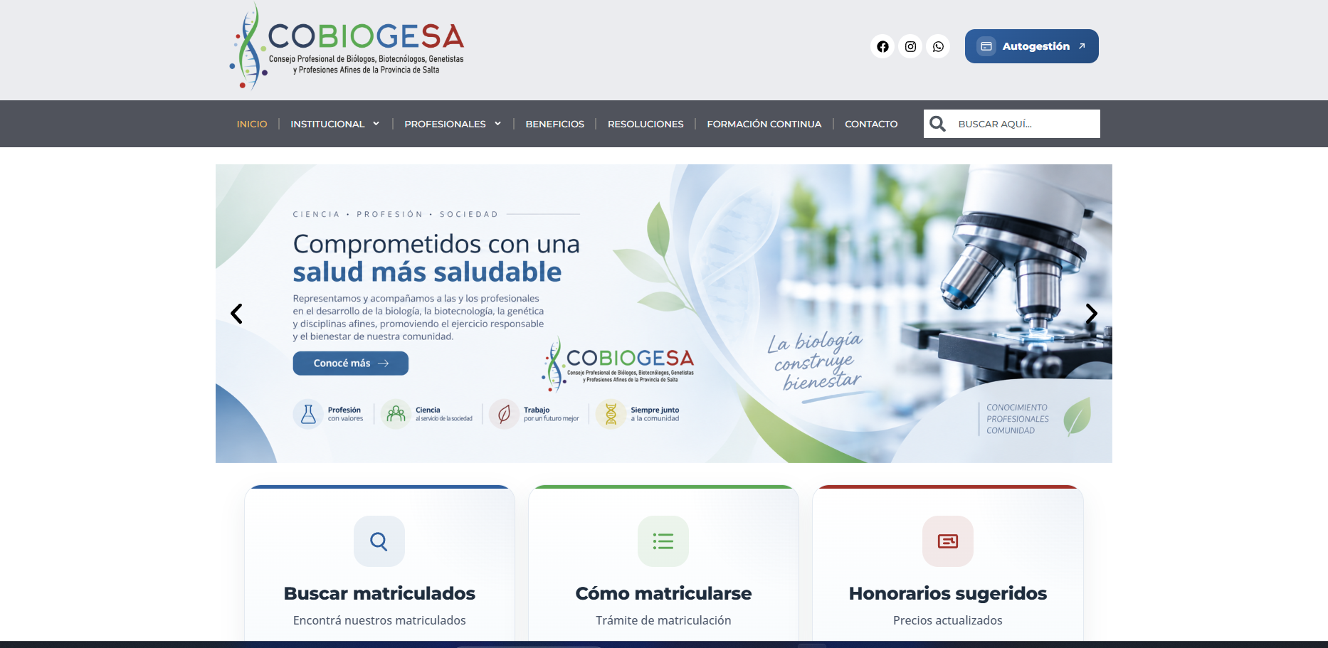Captura de Cobiogesa